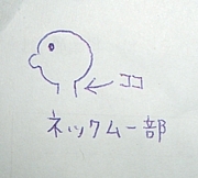 ͥåࡼ