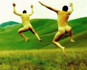 �����ʻ������١�