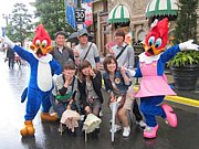 Vivace�������ڥ�
