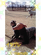 �������� in Kumamoto ��