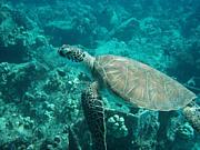 ���Ρ������ʪ�������ʿͤ�����