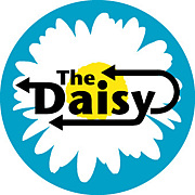 the daisy