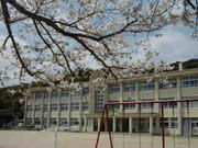 宮津市立 養老小学校 中学校 Mixiコミュニティ