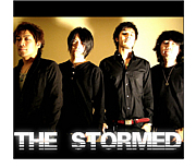 THE  STORMED