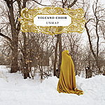 Volcano Choir(BonIver&CoCoB)