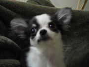 I ♡ ������