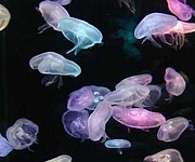 ����ߤ����㤤'��