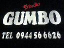 studio GUMBO
