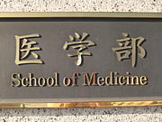 ������ذ���� ��2010��