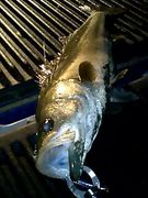 ���碢����ȥ��������������ࢣ