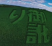 �������¤꤬���ޤ�ʤ�����