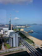 ���ܥ����������