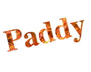 Paddy