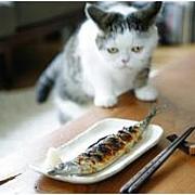 ���礪����