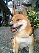 Ʀ�Ƹ�*�ޥ᥷��*Ʀ����*Φ*B'z