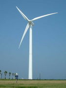 �����¤ʪ���ݾ�