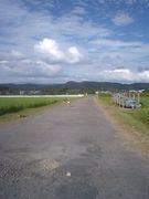 �ļˤ�ƻ������