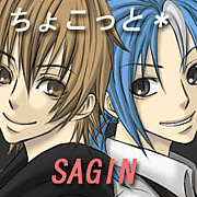 礳ä*SAGIN