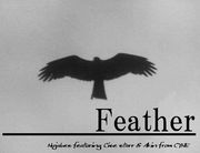 Feather (Nujabes)