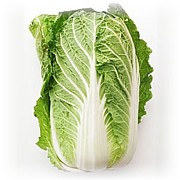 2011年度★駿台大阪校SA