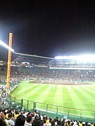 甲子園球場で飲むビール最高！