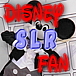 Disney SLR Fan