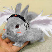 �ߤ�ʤǺ�������ۤΥ�����