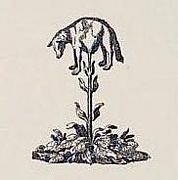 ���������λ���