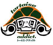 tortoise addict.　川越