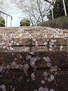 ���Ԥ���ؤ�(^-^)