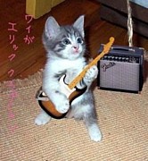 地元アマバンドを応援したい