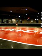�ң���Inline��RollerSkate