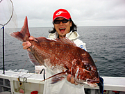 ��ä����ȼ̤뼫ʬ���繥����