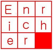 enricher�������å�����