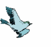 �����ع�