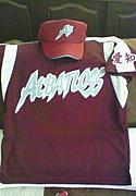 ����Хȥ���baseball������
