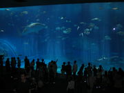 ����ʸ����ز��츩�Ͳ�