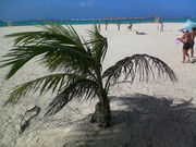 ��We are BIRD FAMILY��