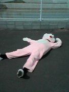 �Х�̼��of����¼��