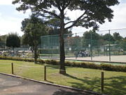北野運動公園平日テニス会