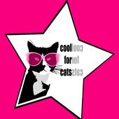 cool for cats records