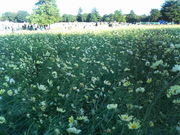 �Ȥ�����