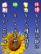 LOVE体操競技Yeah