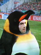 ��������������֤���