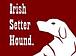 Irish Setter Hound