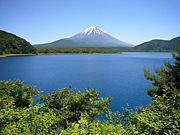 2011.���ޡ�������