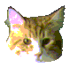 ǭ�Ǥ�狼��ץ�����ߥ�