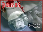�ѥ˥��˶������