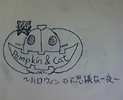 Pumpkin  Cat