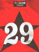 ����ʸ��29�ȡ�H18´����